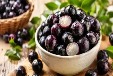 Comida com J: Lista de Comidas com J Para Responder Rápido no Stop